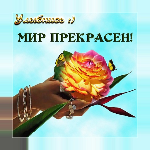 Картинки на каждый день