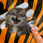 Cover Image of Download Scratch and guess the animal 9.6 APK