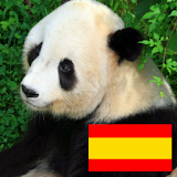 Animals in spanish icon
