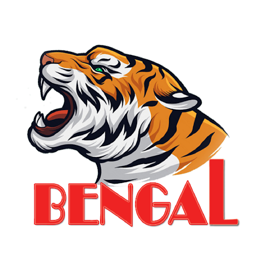 Bengal Telecom Screen 3