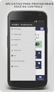 HCDEX - Profissional