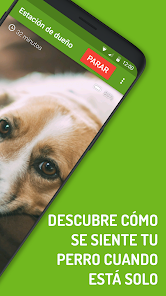 Imagen de la captura de pantalla