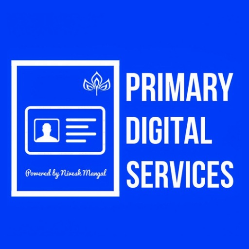Primary Digital Services logo