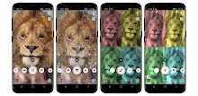 Face Filters APK