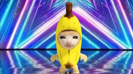 Banana Series - Cat Memes