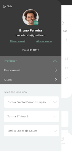 Rede Bertoni Screen 2