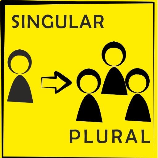 Singular and Plural 2.2 Icon