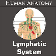 Top 13 Medical Apps Like Lymphatic System - Best Alternatives