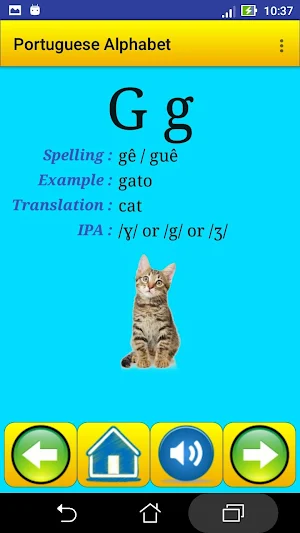 Portuguese alphabet for students screenshot 6