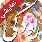 Rudaki Poems (Demo) icon