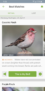 Merlin Bird ID von Cornell Lab