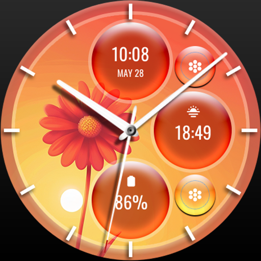 Get FLW122 Summer Flower for Android Aso Report