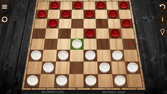 Checkers 19