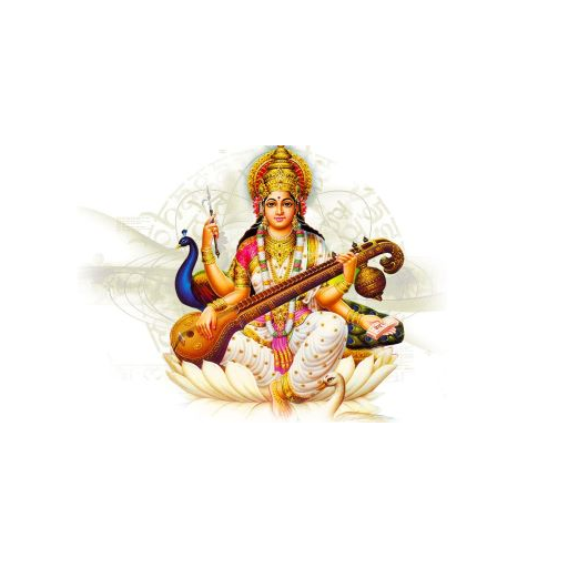 VHSSM MAMOORPUR NARELA DELHI - AppWisp.com