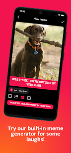 Petme: People and their pets 7