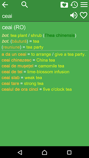 English Romanian Dictionary Screen 2