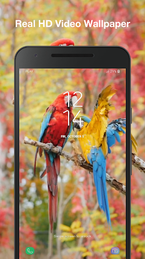 Beauty Birds Wallpaper Pro Screen 3