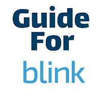 Guide For Blink Camera