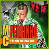 Mc Pedrinho Funk Sensação Mp3 icon