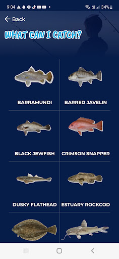 Lucky Catch and Snap Screen 3