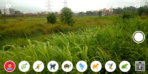 Animal Vision : OpenCV Filters Screen 2