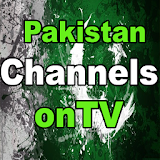 Pakistani Channels Live onTV icon