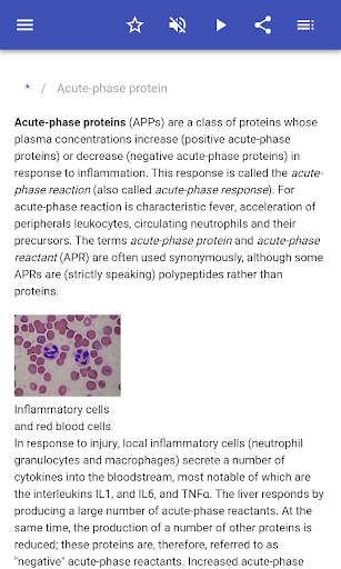 Immune system Screen 2