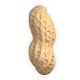 Peanut for HAM amateurs Auf Windows herunterladen