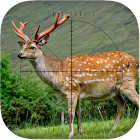 Deer Sniper: Hunting Game 1.00