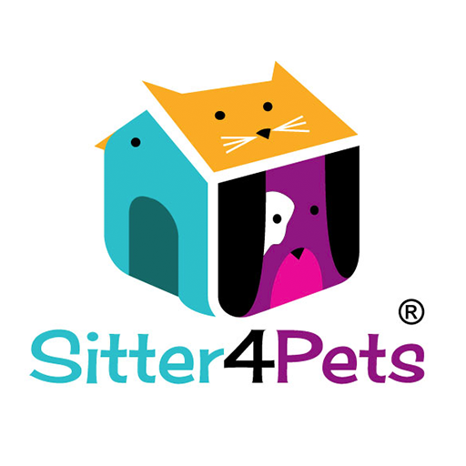 Pets4homes uk. House Sitter. Хаус Ситтер. Pet 4 book