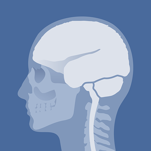 Head Atlas 2.41 Icon