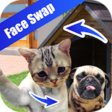 Face Detection Swap icon