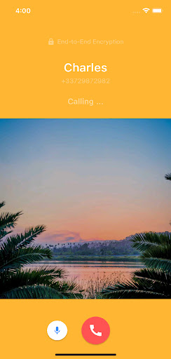 Sharing Chat Screen 2
