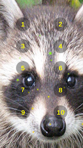 Android application Raccoon Growl Raccoon Sounds screenshort
