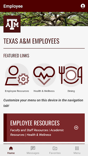 Texas A&M University Screen 3