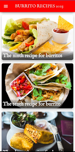 DELICIOUS BURRITO RECIPES