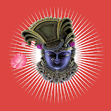 Shreenathji Zankhi icon