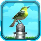 Bird Sound and Picture icon