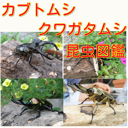 カブトムシ クワガタムシ図鑑 ムシキングへの道 最強の昆虫 Google Play ਤ ਐਪ