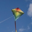 Kite Flying 2024 (Kite Game) 1.7.0