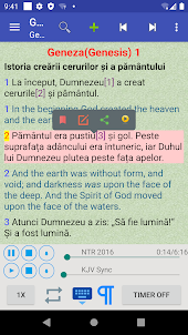 Romanian English Audio Bible