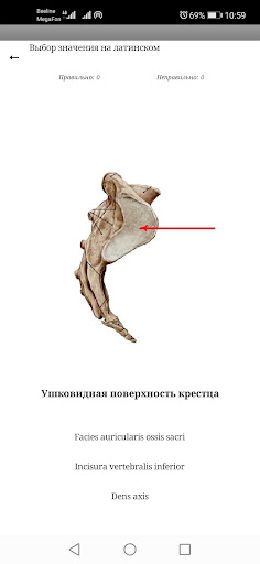 Android application Нормальная анатомия человека screenshort