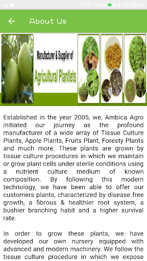 Ambica Agro