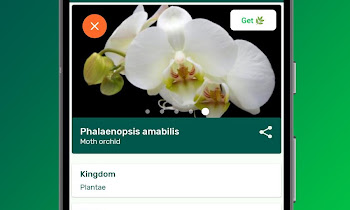 Aplikasi Untuk Mengetahui Nama Tumbuhan