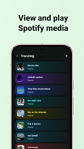 Spotify Widgets – Widgetify 5