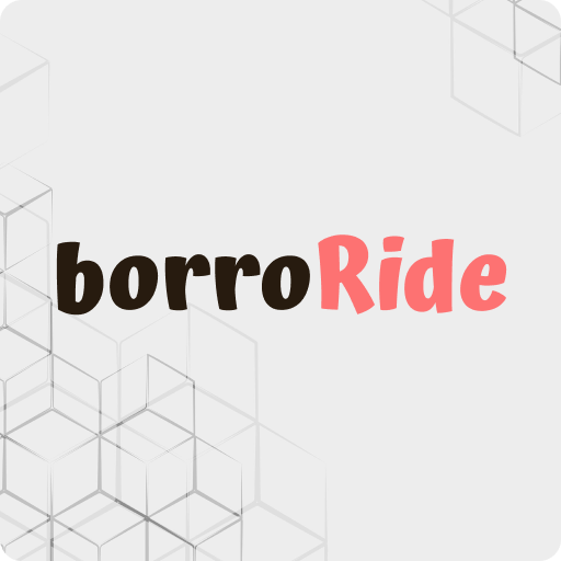 Borroride Partner logo