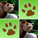 Wild Animals Memory Game - Androidアプリ