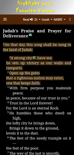 Holy Bible NABRE Screen 2