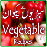 Vegetable Urdu Recipes icon