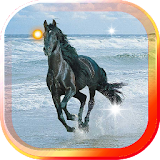 Horse Sea Beach live wallpaper icon